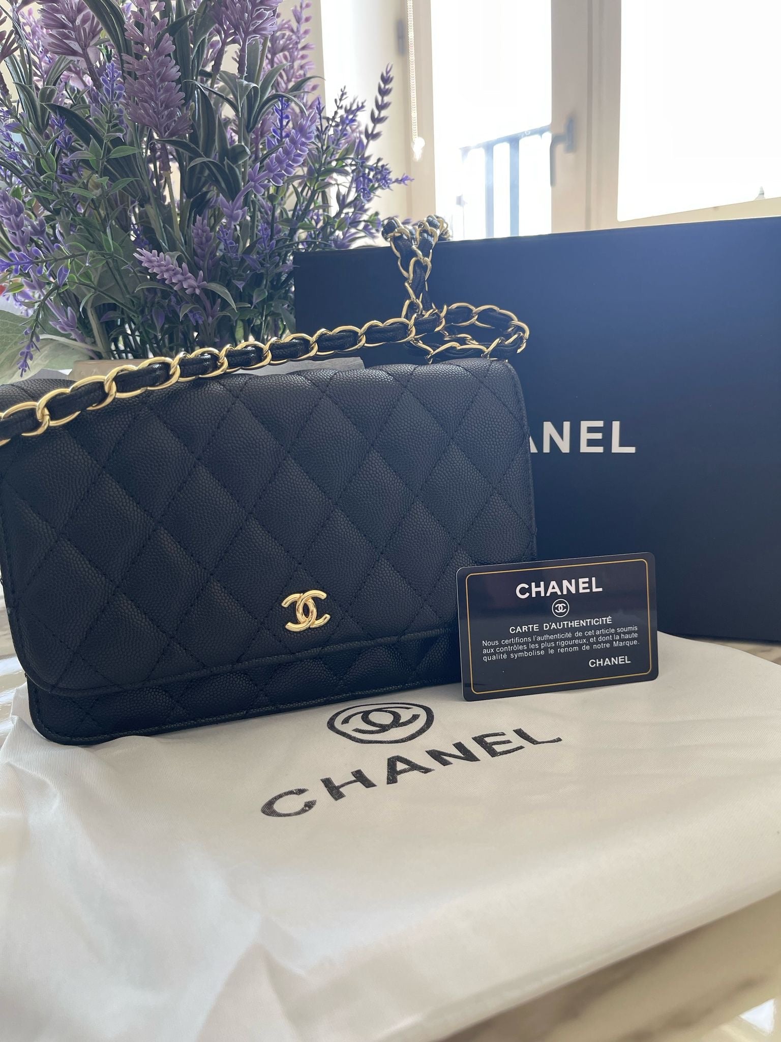 Mini CC leather women handbag
