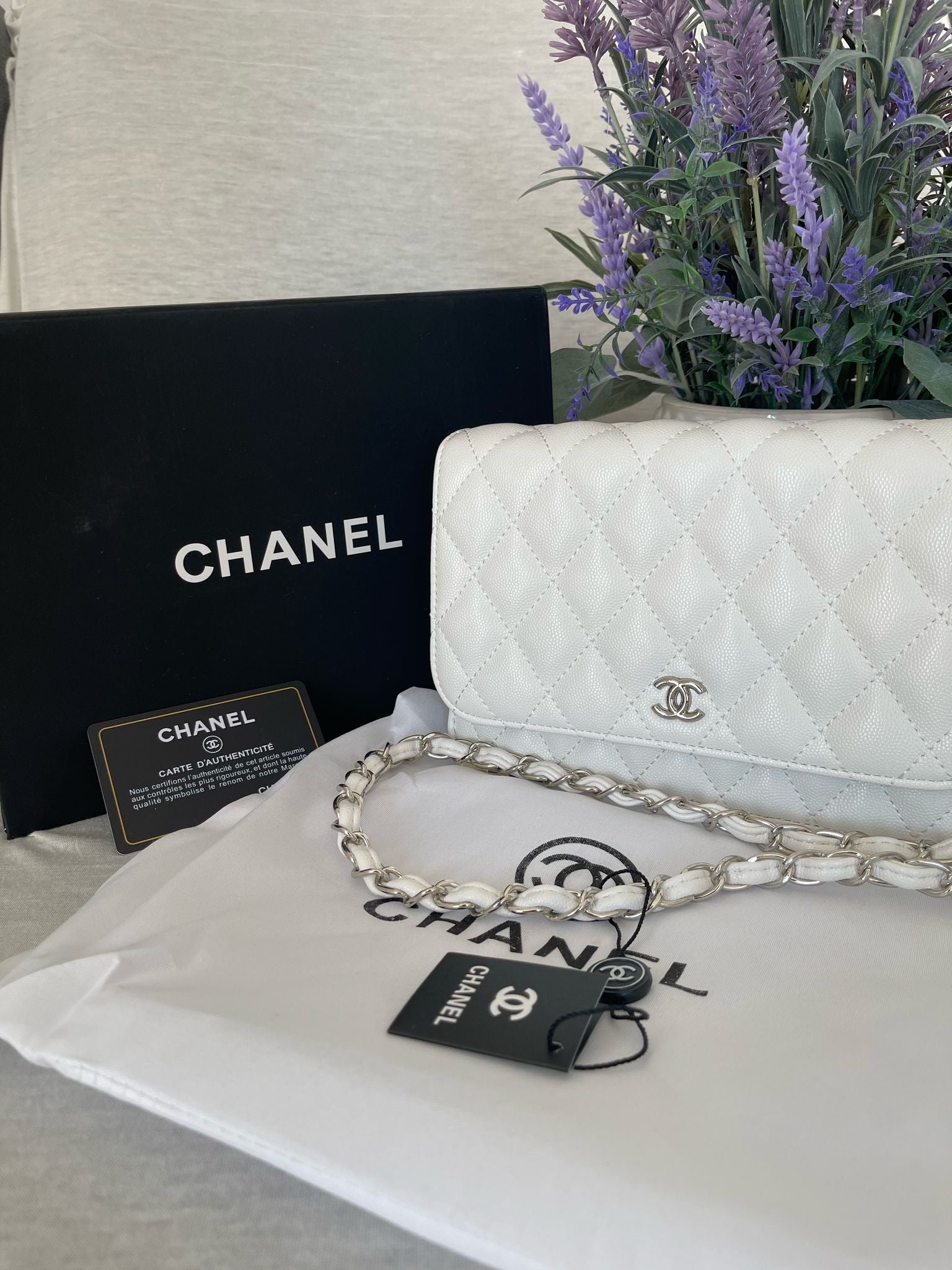 Mini CC leather women handbag