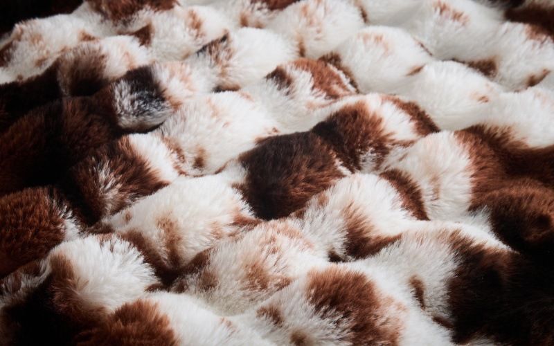Faux Animal Print Throw in Brown/White (130cm*160cm) BLK018