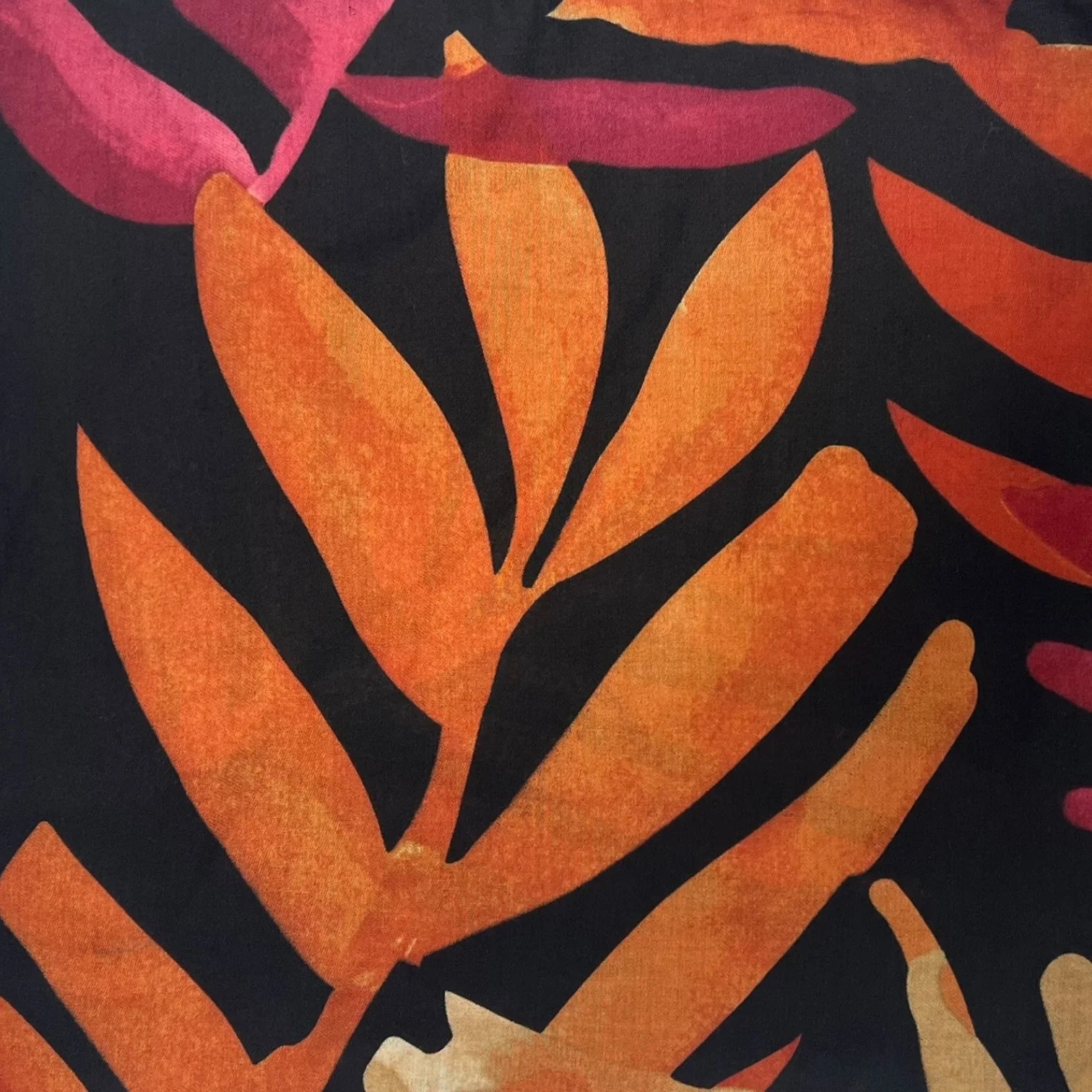 Big amazon palm leaves